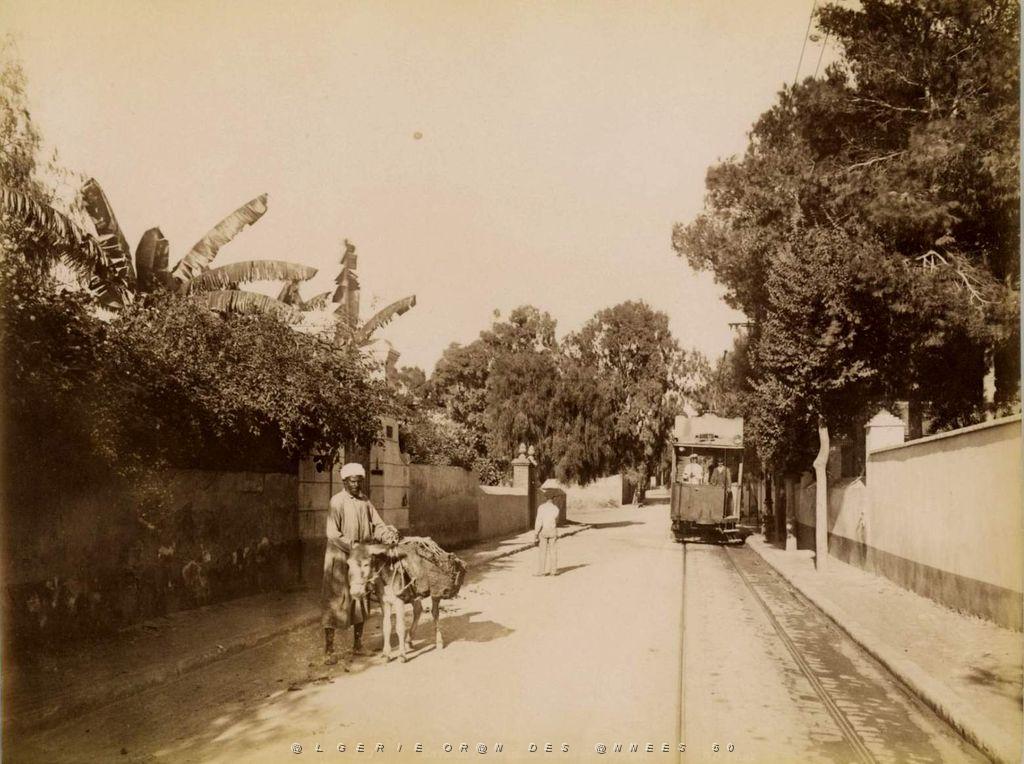Oran 036.jpg